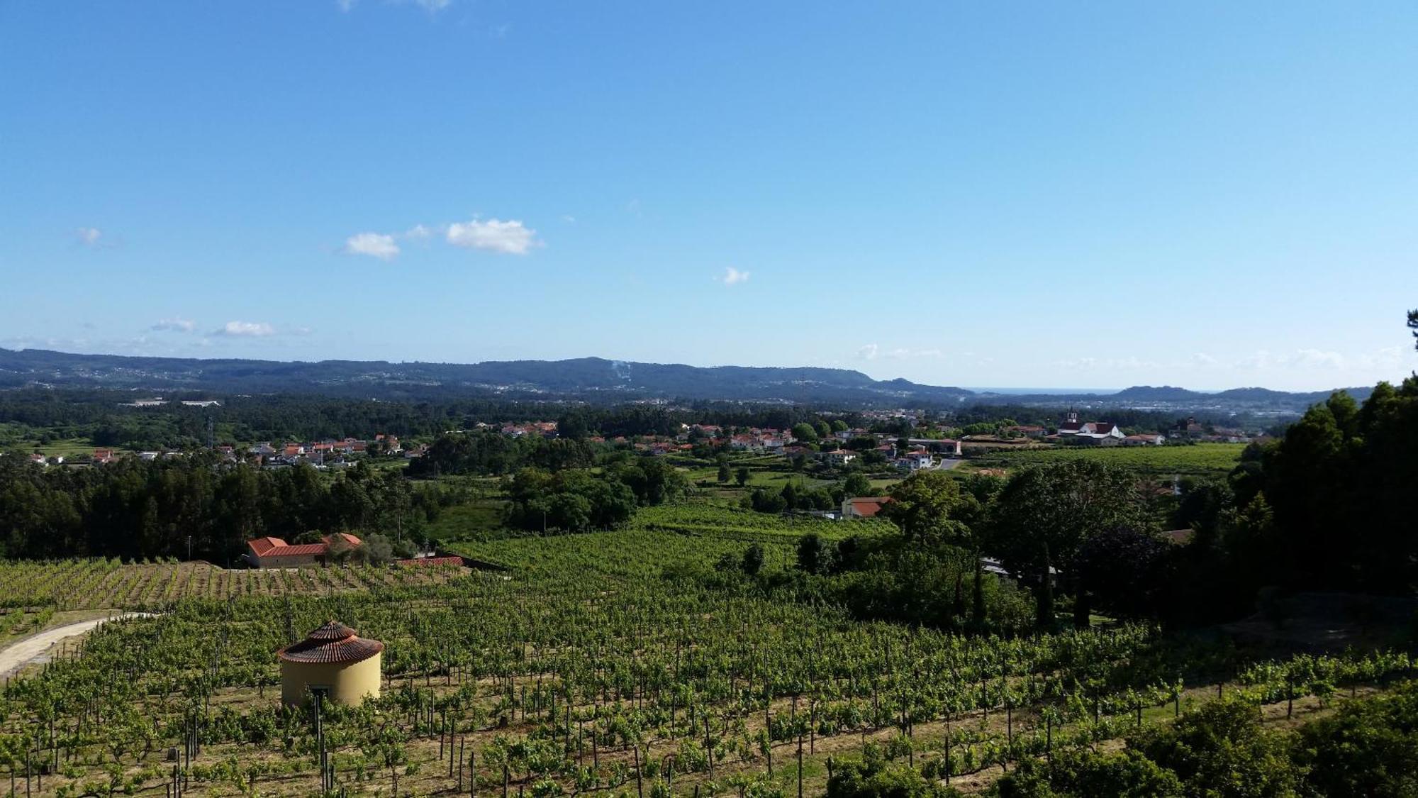 빌라드펀 Casas Do Monte De Roques 빌라 외부 사진